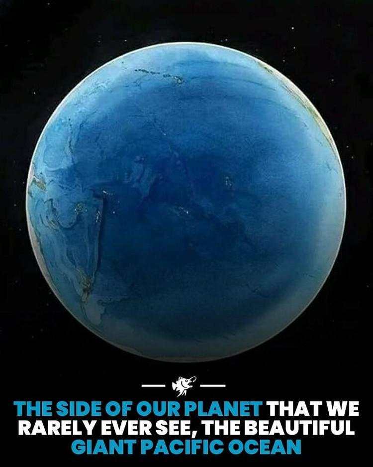 Hal-hal Aneh yang Diposting Orang di Internet, Kamu Mungkin Belum Tahu