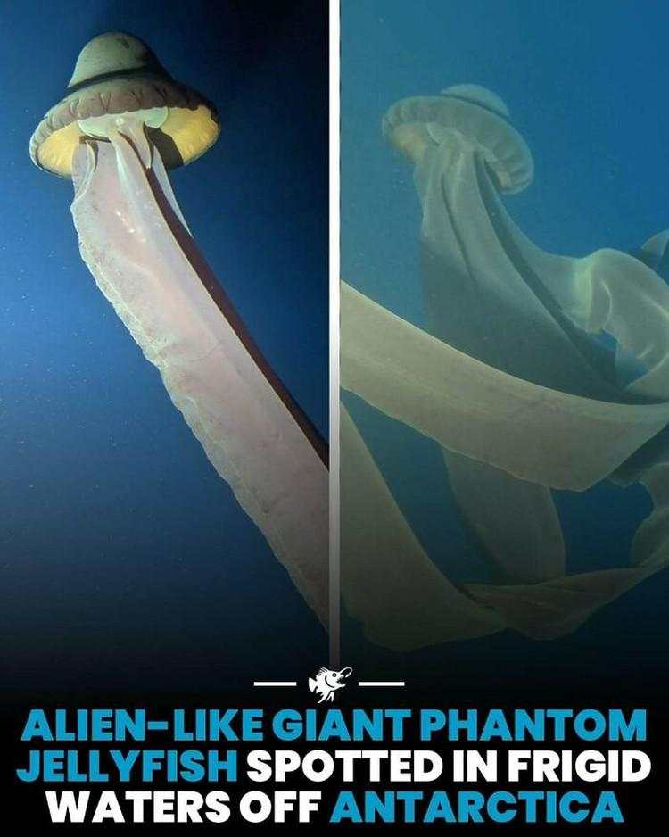 Hal-hal Aneh yang Diposting Orang di Internet, Kamu Mungkin Belum Tahu