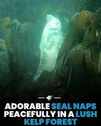 Hal-hal Aneh yang Diposting Orang di Internet, Kamu Mungkin Belum Tahu