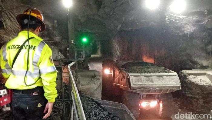 Pemda Papua Bakal Dapat Jatah dari Tambahan Saham Freeport 2041