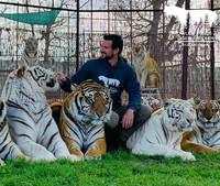 Tragedi Nyata! Tokoh Terkenal Dunia yang Tewas Tragis Akibat Hewan