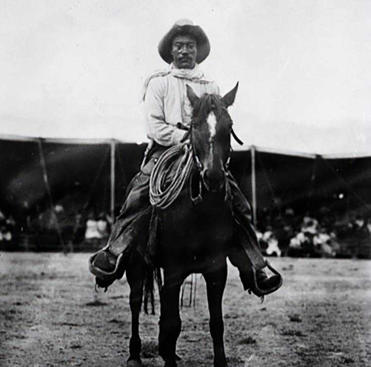 Tragedi Nyata! Tokoh Terkenal Dunia yang Tewas Tragis Akibat Hewan