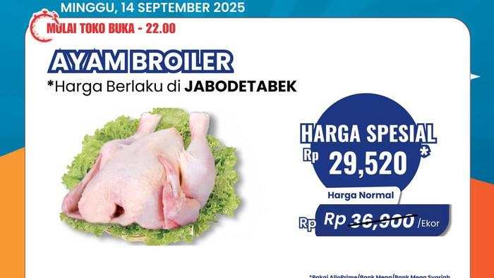 Ayam Broiler Cuma Rp 29 Ribuan Per Ekor di Transmart Full Day Sale
