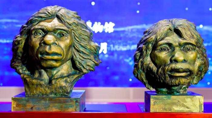 Tengkorak Berusia 1 Juta Tahun Ungkap Asal Usul Nenek Moyang Manusia Modern