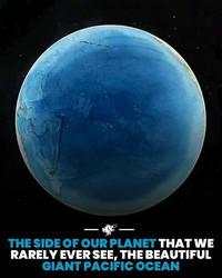 Hal-hal Aneh yang Diposting Orang di Internet, Kamu Mungkin Belum Tahu