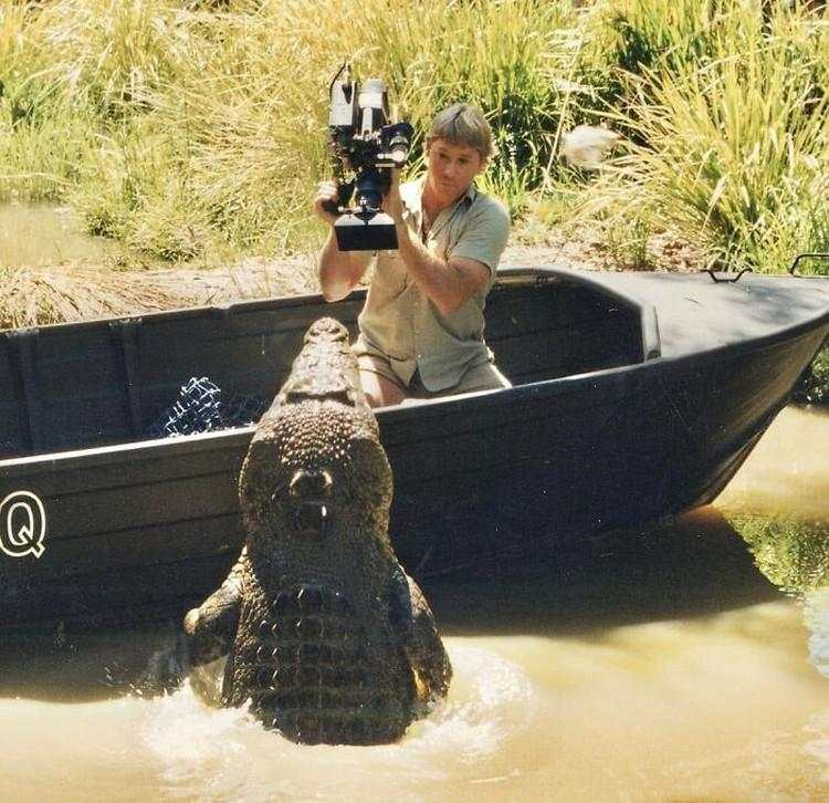 Tragedi Nyata! Tokoh Terkenal Dunia yang Tewas Tragis Akibat Hewan