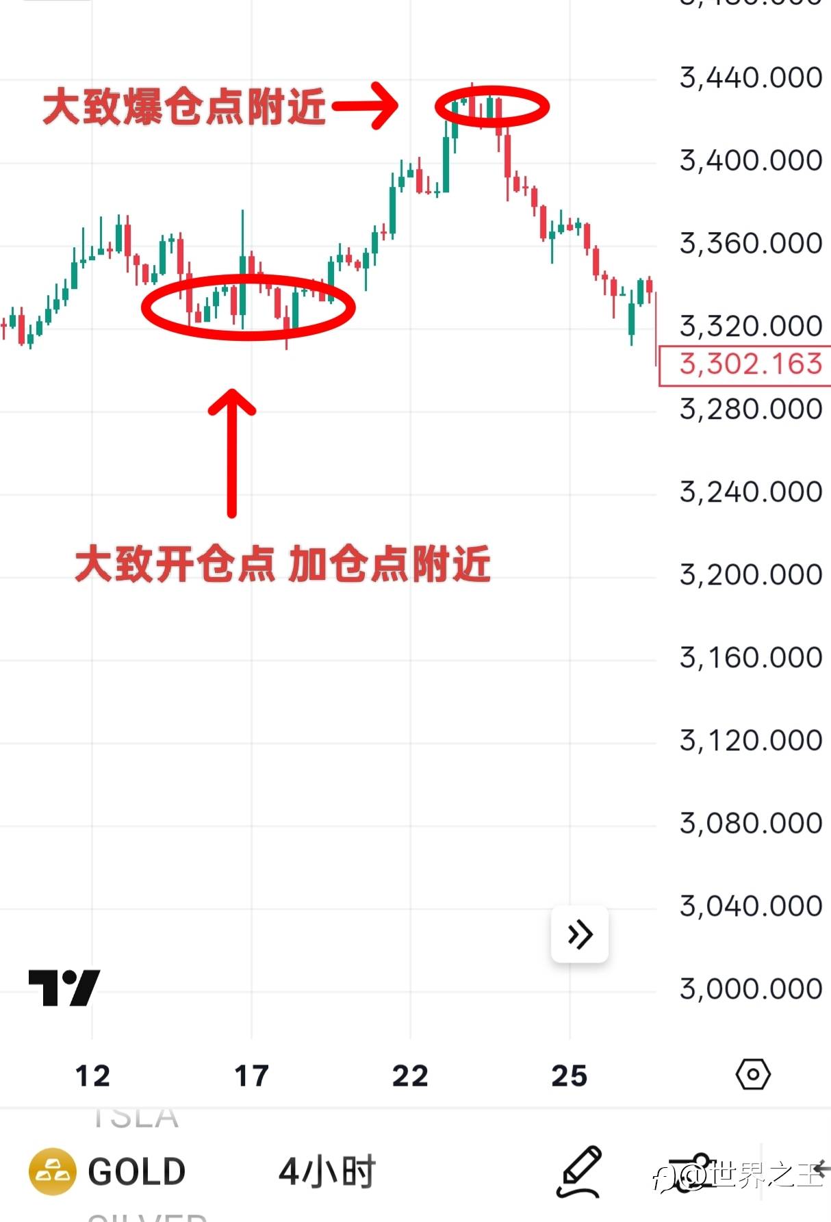第二届神龙大赛圆满落幕！比赛总结与感想