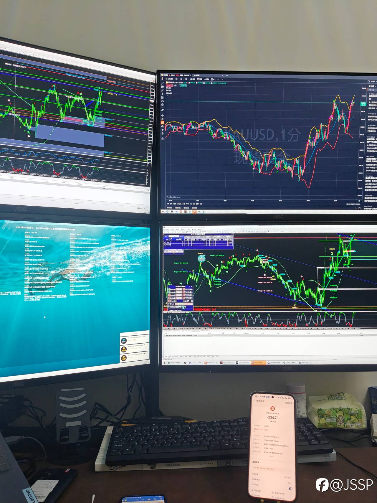 feed-image-1