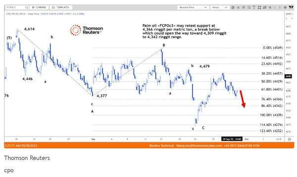 Harga CPO Dibuka Turun, Tertekan Minyak Nabati Pesaing dan Minyak Mentah