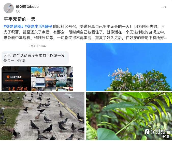喵喵看汇友（三）