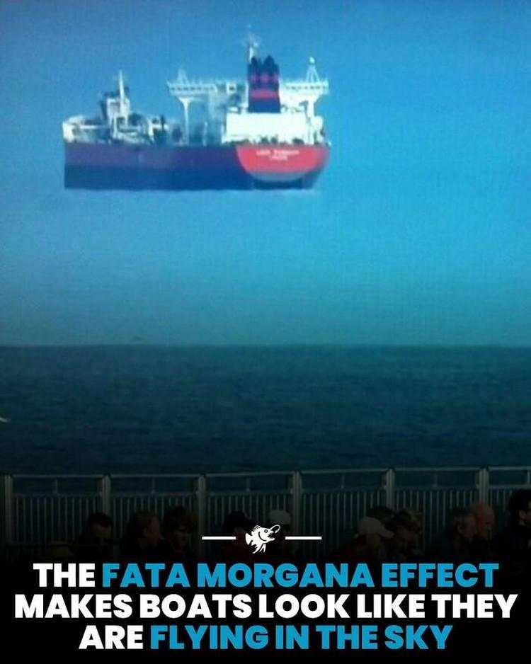 Hal-hal Aneh yang Diposting Orang di Internet, Kamu Mungkin Belum Tahu