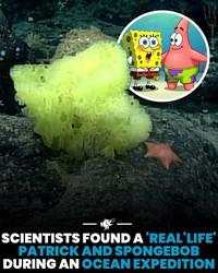 Hal-hal Aneh yang Diposting Orang di Internet, Kamu Mungkin Belum Tahu