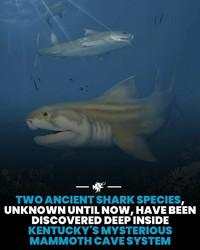 Hal-hal Aneh yang Diposting Orang di Internet, Kamu Mungkin Belum Tahu