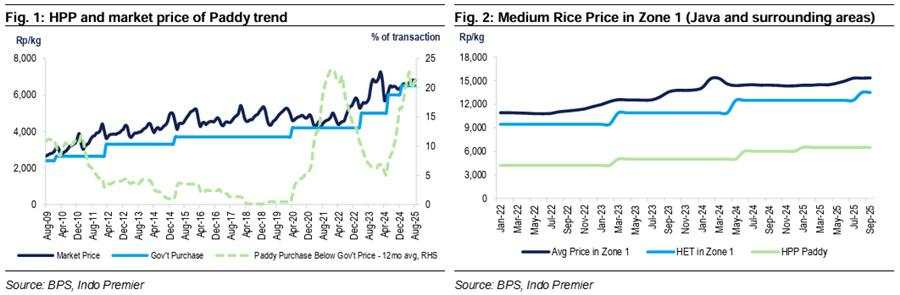 MacroInsight - Dinamika perberasan Indonesia: cadangan mencapai rekor namun langka pasokan