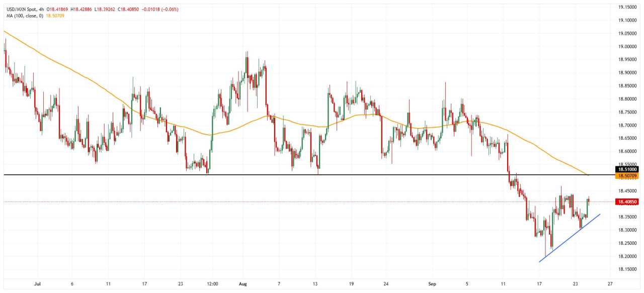 Mexico FX Today: Peso steady as Banxico prepares new rate cut