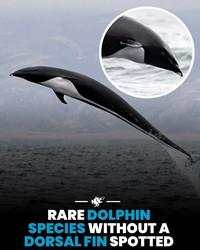 Hal-hal Aneh yang Diposting Orang di Internet, Kamu Mungkin Belum Tahu