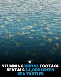 Hal-hal Aneh yang Diposting Orang di Internet, Kamu Mungkin Belum Tahu