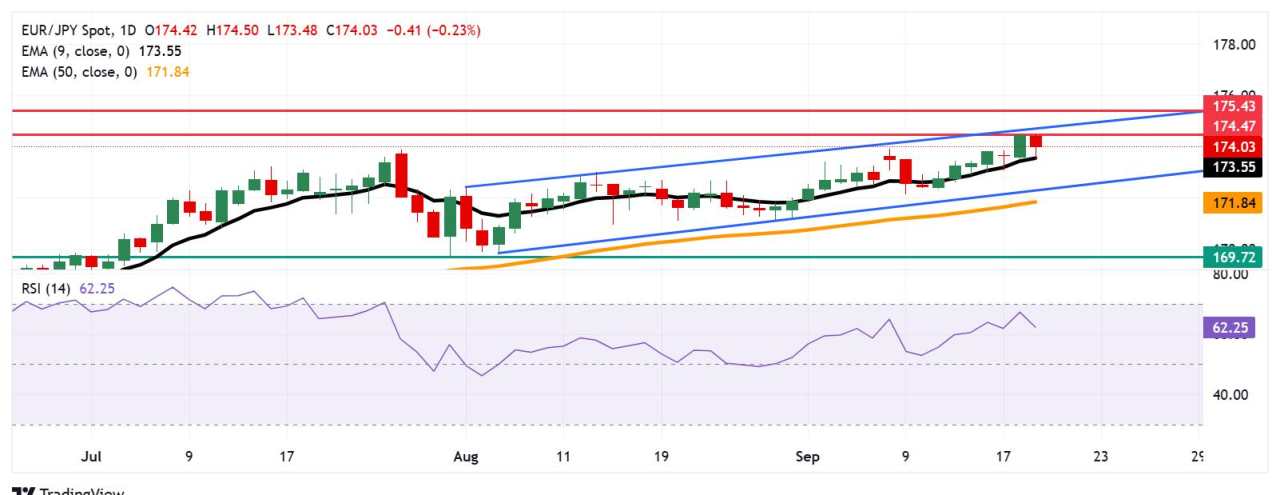 Dự báo giá EUR/JPY: Sự phục hồi gần 174,00 mặc dù dữ liệu PPI của Đức yếu hơn