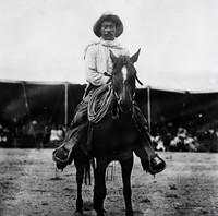 Tragedi Nyata! Tokoh Terkenal Dunia yang Tewas Tragis Akibat Hewan