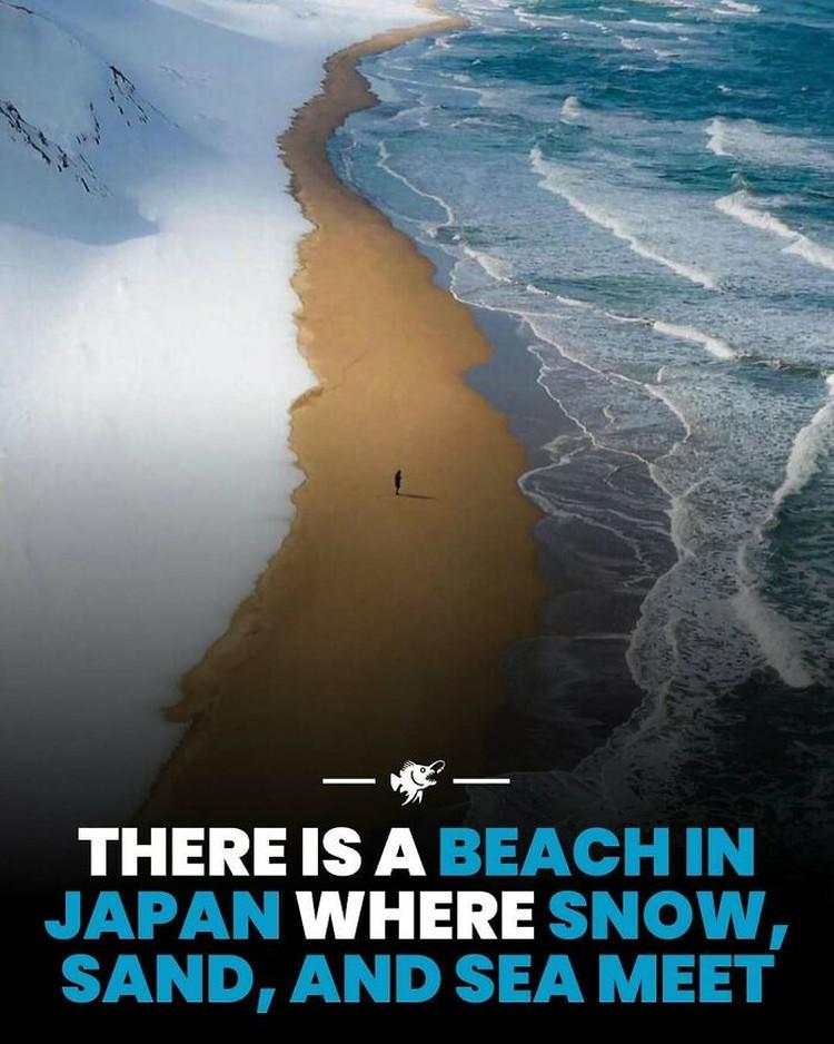 Hal-hal Aneh yang Diposting Orang di Internet, Kamu Mungkin Belum Tahu