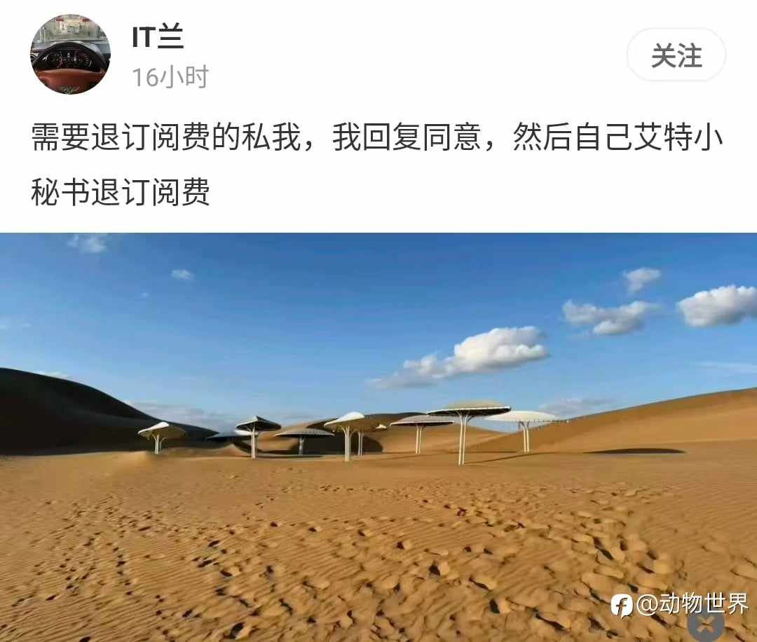 社区两大装逼犯双双落马