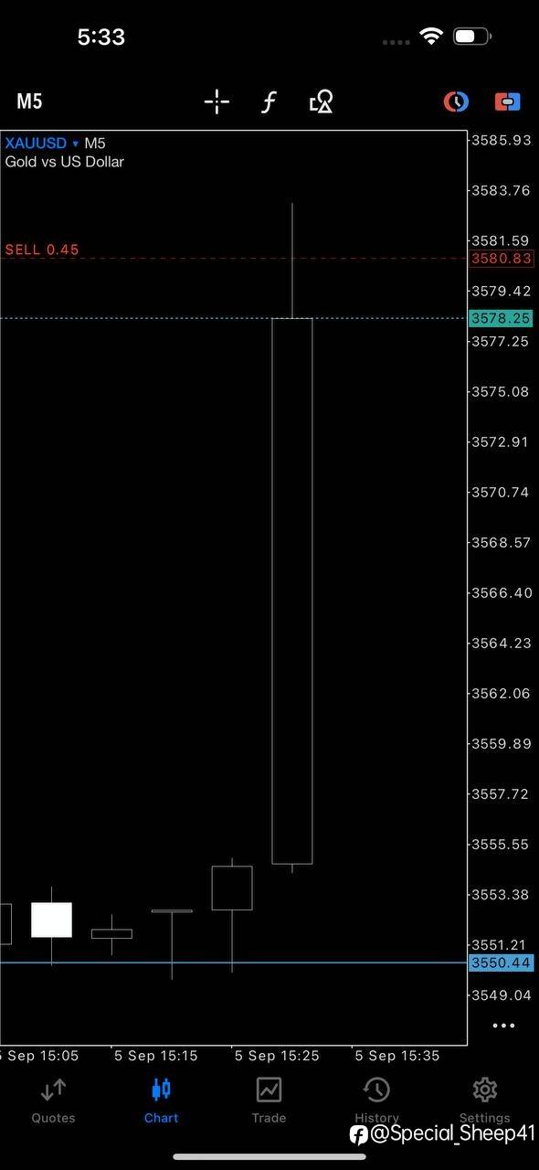feed-image-0