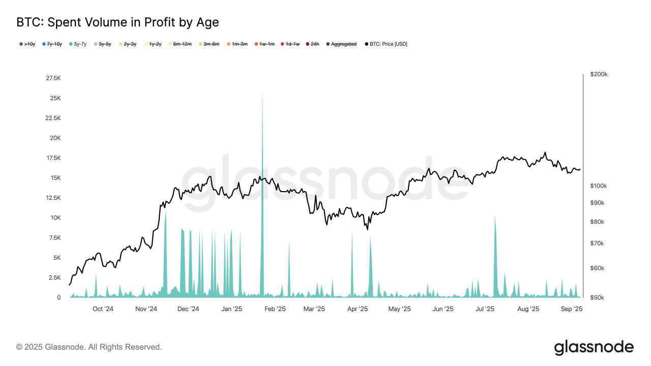 Bitcoin’s Most Resolute Diamond Hands Are Only Growing Older, Data Shows