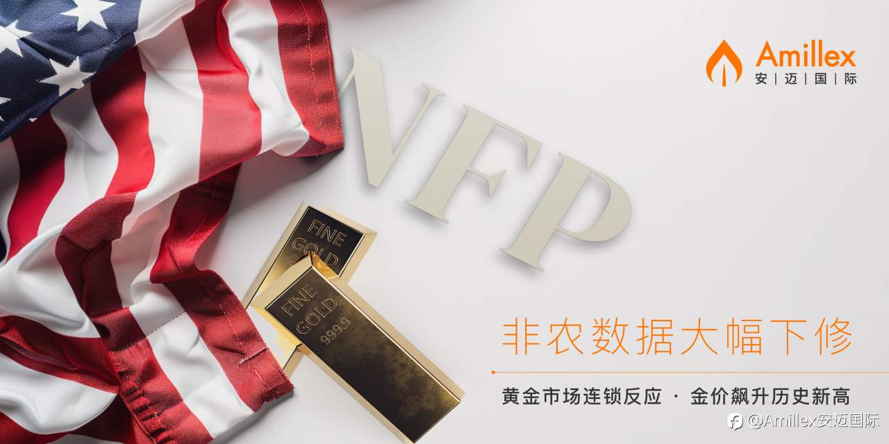 Amillex视角：解读黄金ETF持仓量，非农下修与降息预期共塑金市新格局​