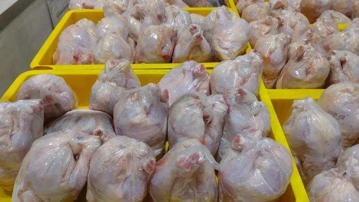 Harga Ayam Naik tapi Masih di Bawah Harga Acuan Pemerintah