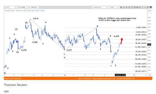 Harga CPO Naik Didukung Minyak Nabati Pesaing, Tapi Kenaikan Dibatasi Pelemahan Minyak Mentah