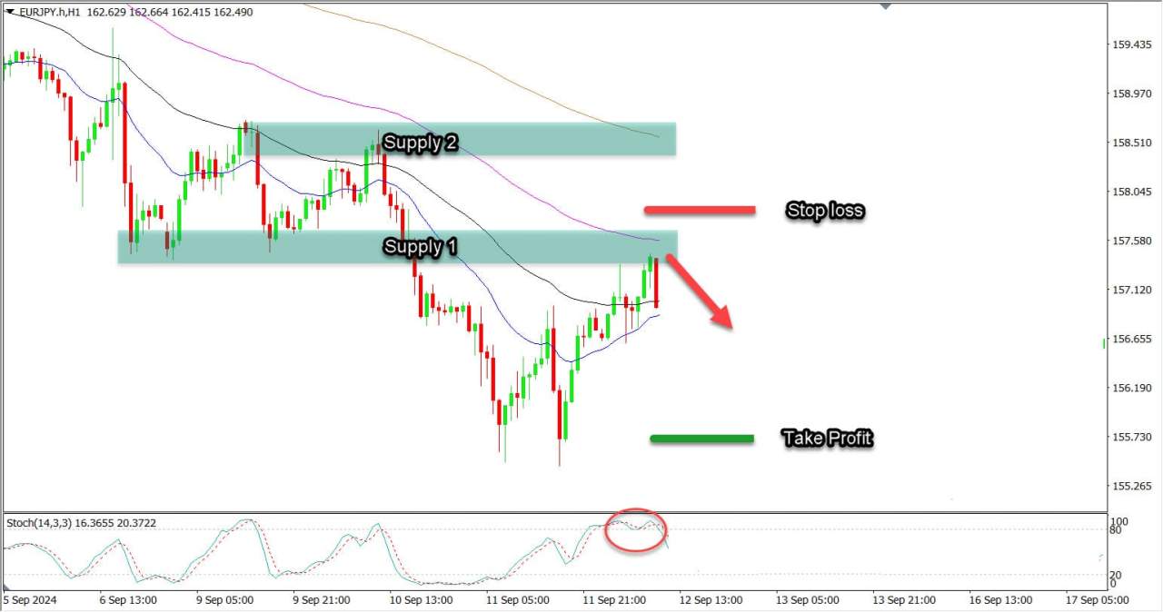 SND Forex: Cara Sederhana Membaca Supply dan Demand di Market