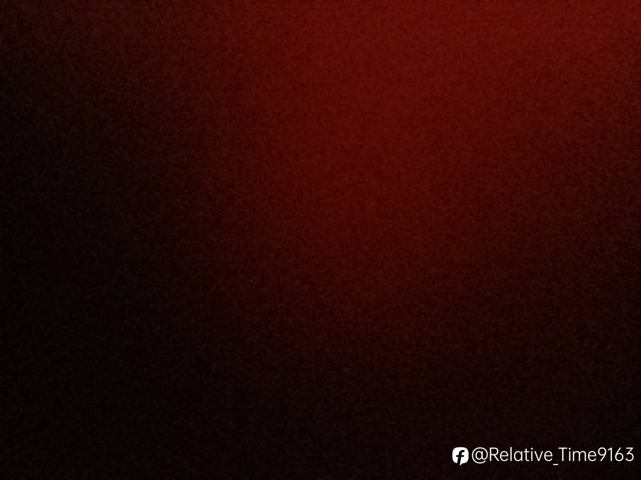 feed-image-2