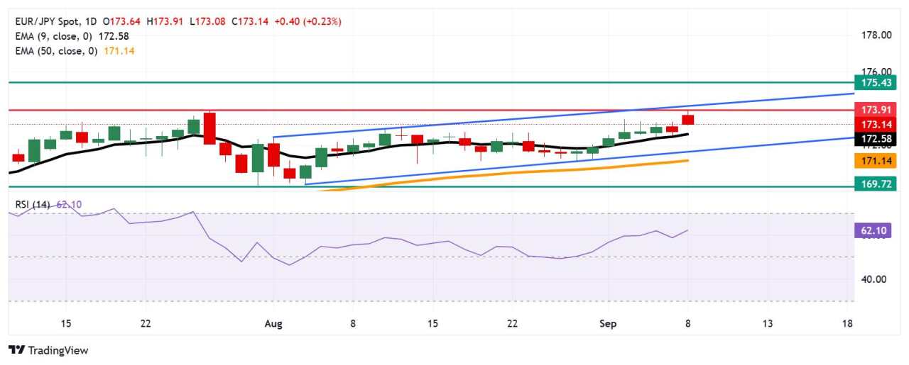 EUR/JPY Price Forecast: Falls to near 173.00 after pulling back from 14-month lows