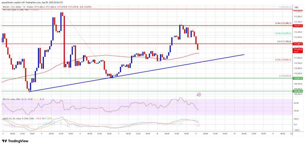 Bitcoin Price Struggles Near $113K – Will Bulls Force a Break?