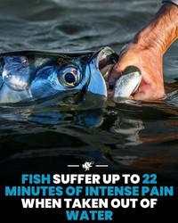 Hal-hal Aneh yang Diposting Orang di Internet, Kamu Mungkin Belum Tahu