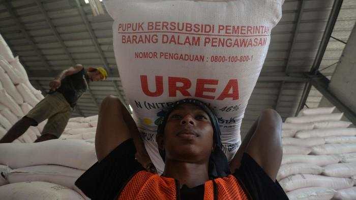 Kementan Usulkan Kenaikan Margin Fee Pupuk Subsidi