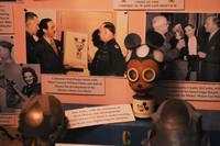 Deretan Foto Punya Cerita Mengejutkan hingga Mengerikan