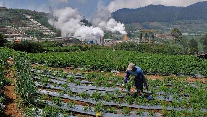 Daftar 10 Proyek Harta Karun RI yang Dilelang Tahun Ini