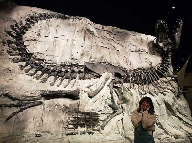 Foto Ukuran Kerangka Hewan Purba Mencengangkan Mata