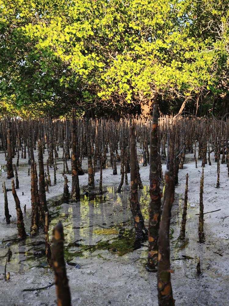 Merekam Keindahan Sumba Pakai Xiaomi 15T