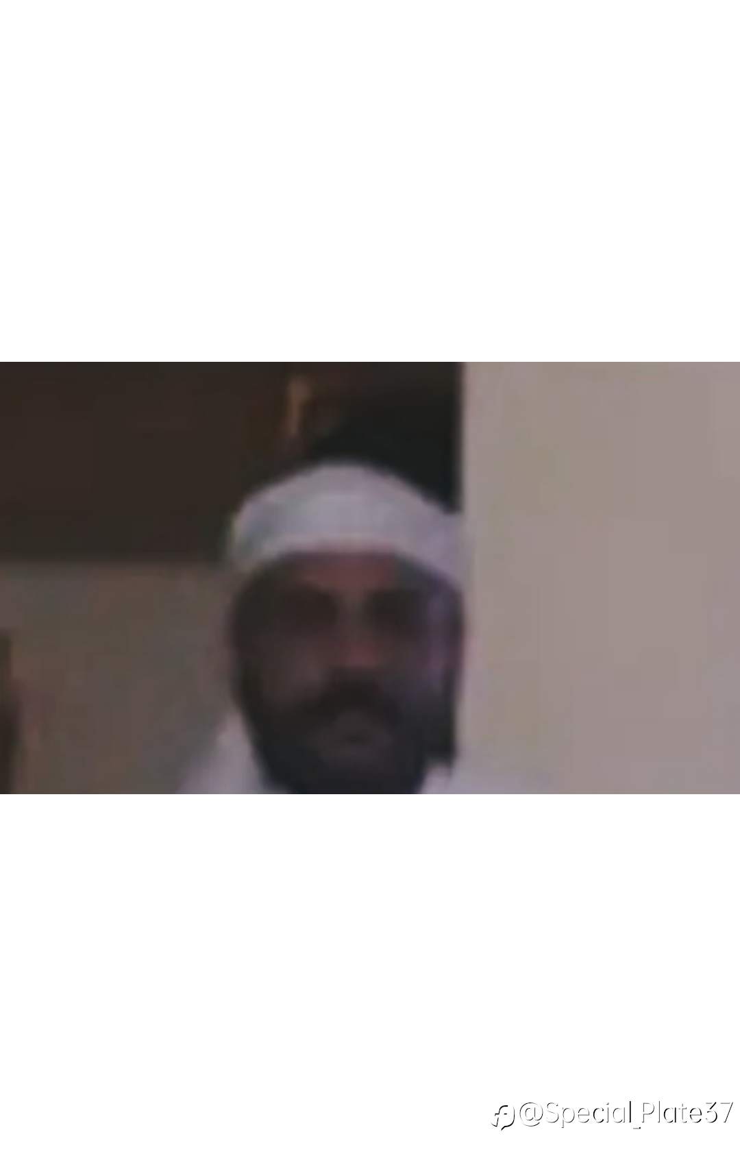 feed-image-1