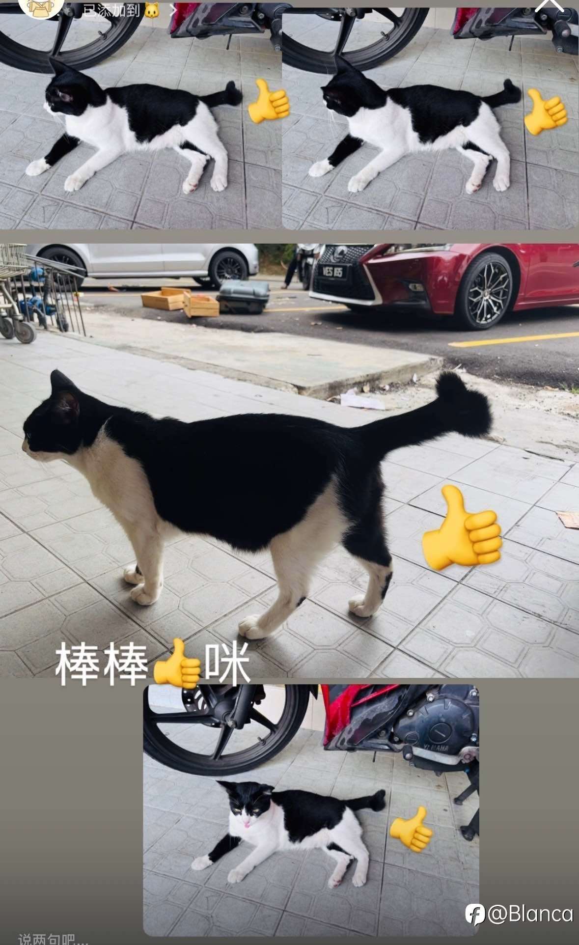 最近分享