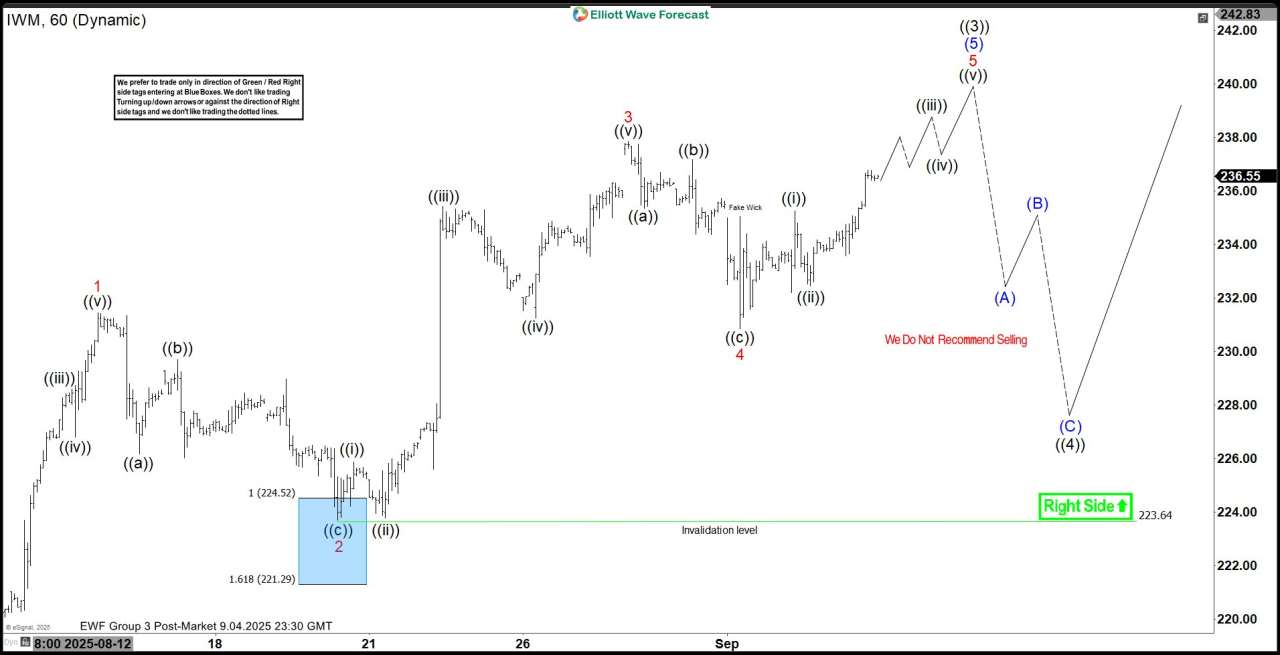 iShares Russell 2000 ETF (IWM)- Elliott Wave Buying the Dips at the Blue Box
