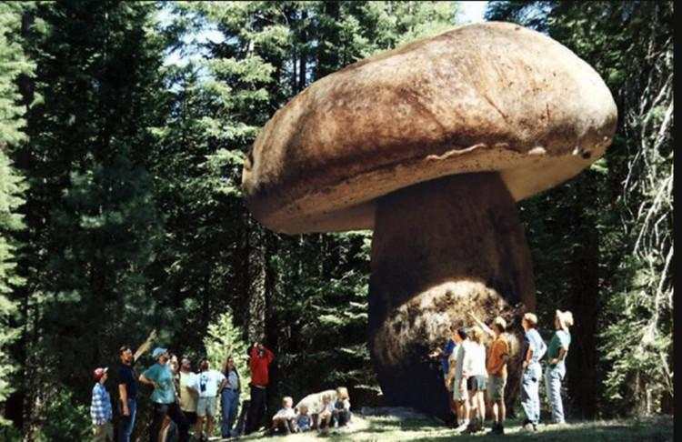 Deretan Foto Punya Cerita Mengejutkan hingga Mengerikan