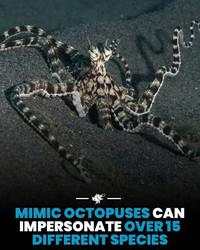 Hal-hal Aneh yang Diposting Orang di Internet, Kamu Mungkin Belum Tahu