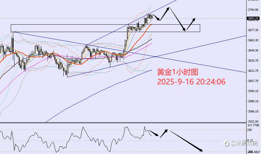 老黑策略：9.16晚盘外汇、黄金、原油分析策略