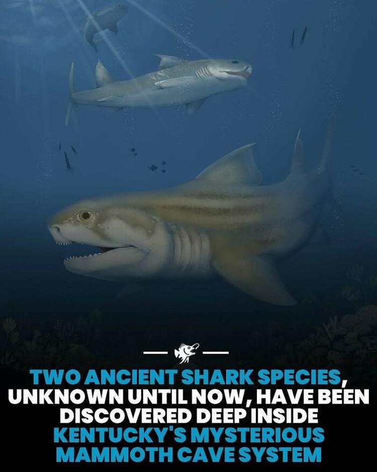 Hal-hal Aneh yang Diposting Orang di Internet, Kamu Mungkin Belum Tahu