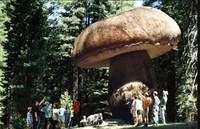 Deretan Foto Punya Cerita Mengejutkan hingga Mengerikan