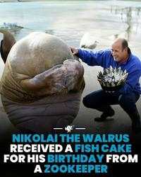 Hal-hal Aneh yang Diposting Orang di Internet, Kamu Mungkin Belum Tahu