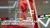 Simak Kinerja Grup Adaro Semester I, AADI Berpotensi Lanjutkan Momentum Positif